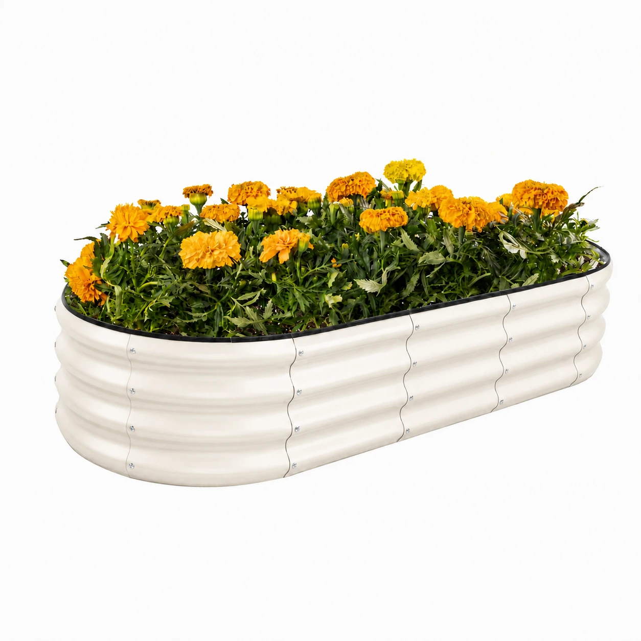 Oyster White Corrugated Metal Raised Garden Bed