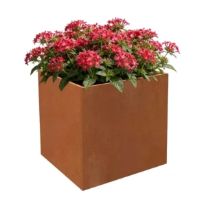 Corten steel planter box 40 x 40 x 40 cm with red flowers on white background